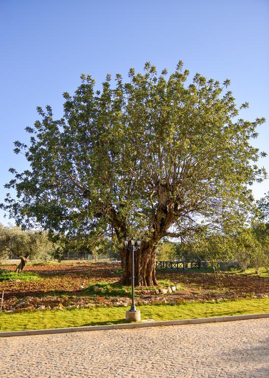 Quinta Dos Tesouros Villa São Brás de Alportel Dış mekan fotoğraf