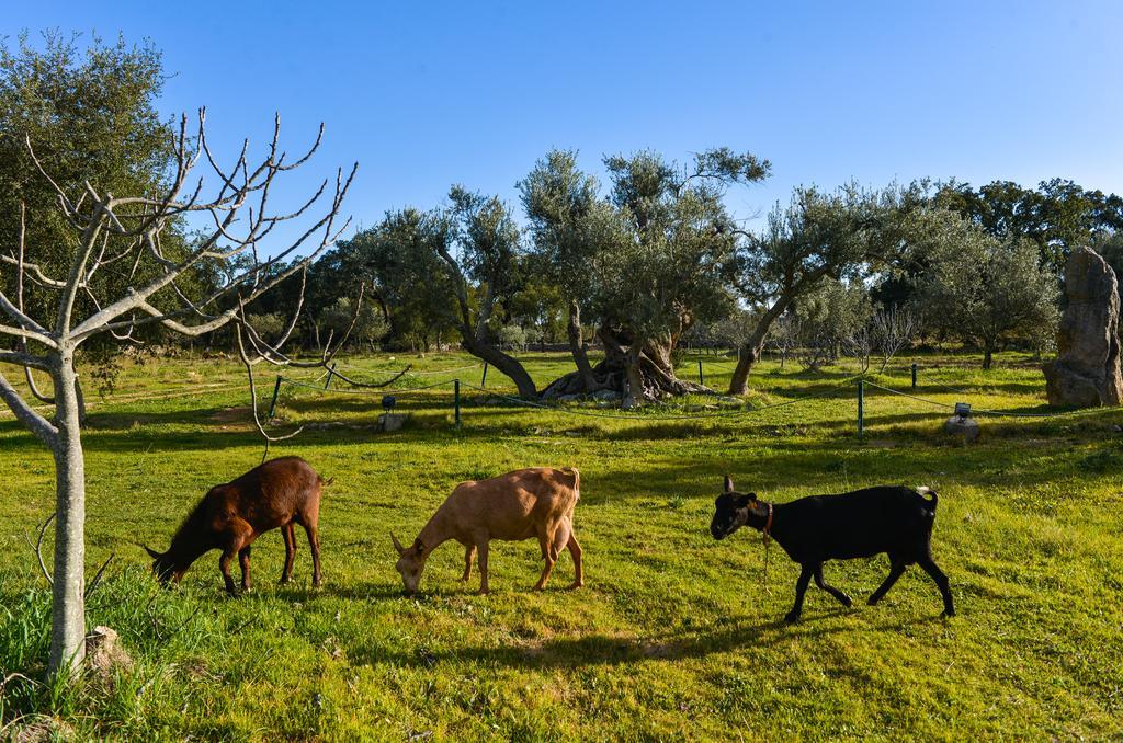 Quinta Dos Tesouros Villa São Brás de Alportel Dış mekan fotoğraf